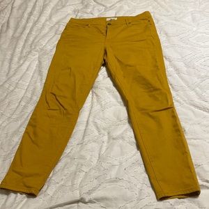 Loft mustard pants
